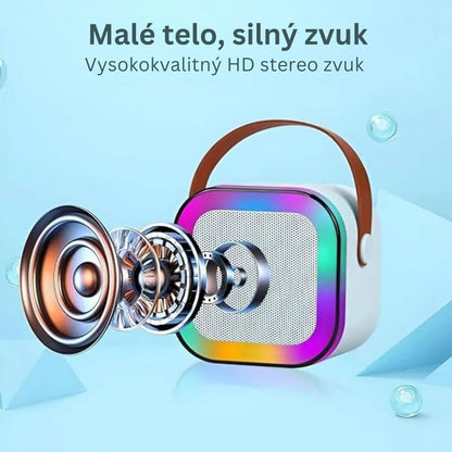 Karaoke Machine for Kids Portable Wireless Bluetooth Speaker with 1 or 2 Microphones and LED Lights