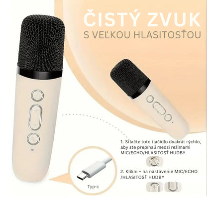 Karaoke Machine for Kids Portable Wireless Bluetooth Speaker with 1 or 2 Microphones and LED Lights