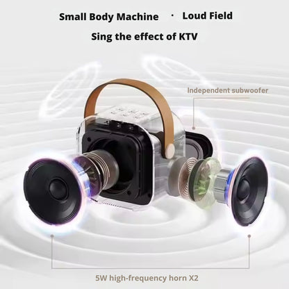 Karaoke Machine for Kids Portable Wireless Bluetooth Speaker with 1 or 2 Microphones and LED Lights