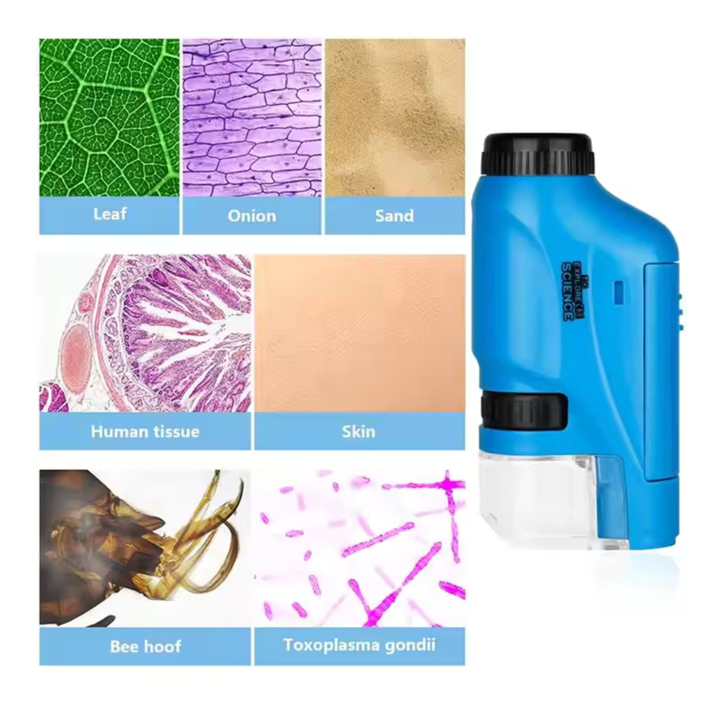 Mini Microscope for Kids